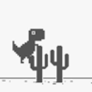 Meet your Posher, Joey